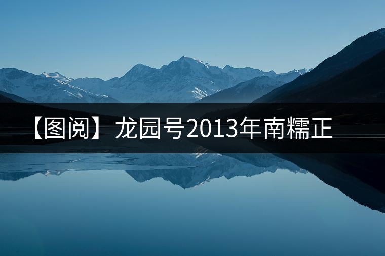 【圖閱】龍園號2013年南糯正山普洱生茶開湯