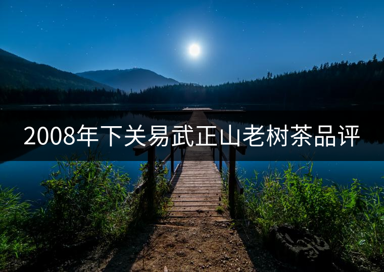 2008年下關(guān)易武正山老樹茶品評(píng)