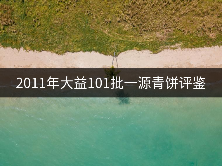 2011年大益101批一源青餅評(píng)鑒 2011年大益101批一源青餅評(píng)鑒