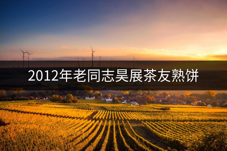 2012年老同志昊展茶友熟餅 2012年老同志昊展茶友熟餅