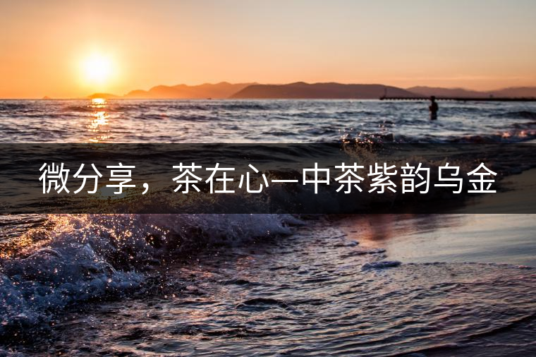 微分享，茶在心—中茶紫韻烏金