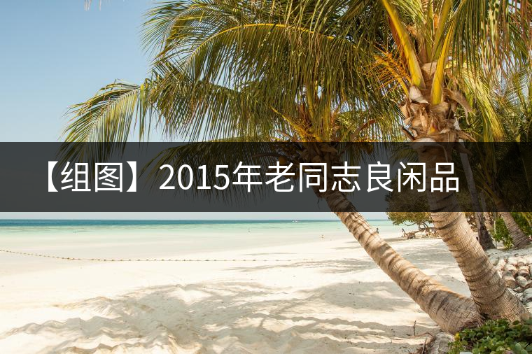 【組圖】2015年老同志良閑品熟磚開(kāi)湯 【組圖】2015年老同志良閑品熟磚開(kāi)湯