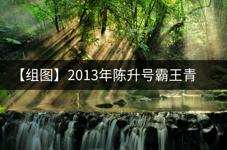 【組圖】2013年陳升號(hào)霸王青餅開(kāi)湯 【組圖】2013年陳升號(hào)霸王青餅開(kāi)湯