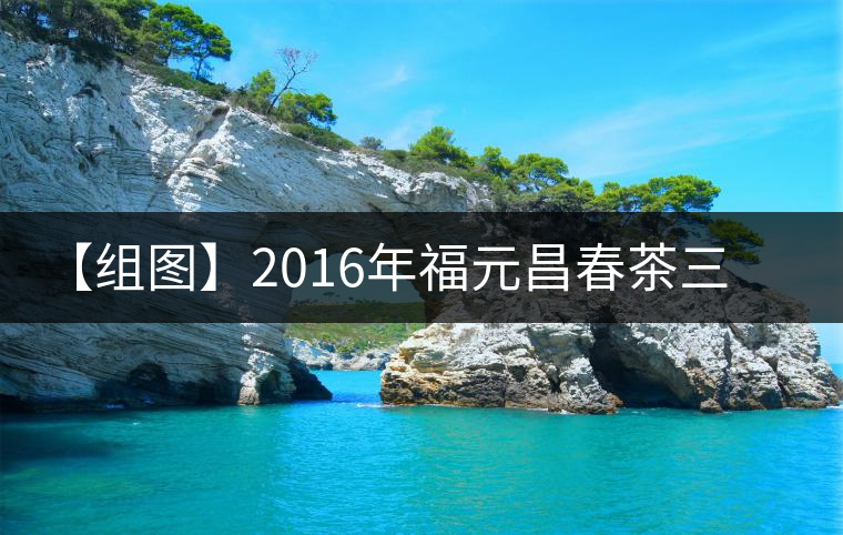 【組圖】2016年福元昌春茶三月拔瑪小餅開湯