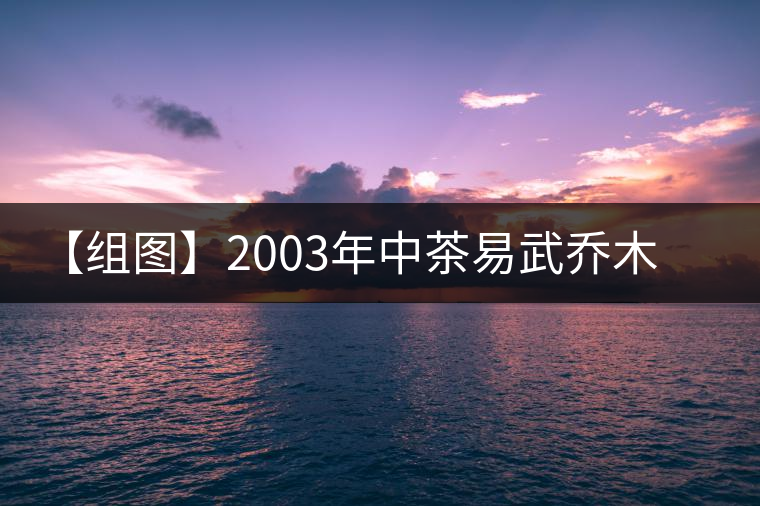 【組圖】2003年中茶易武喬木古茶開湯 【組圖】2003年中茶易武喬木古茶開湯