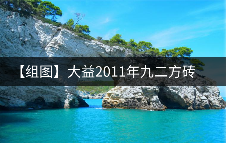 【組圖】大益2011年九二方磚開湯 【組圖】大益2011年九二方磚開湯