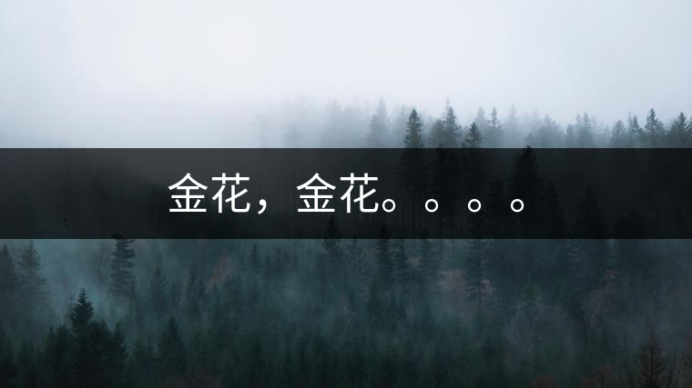 金花，金花。。。。