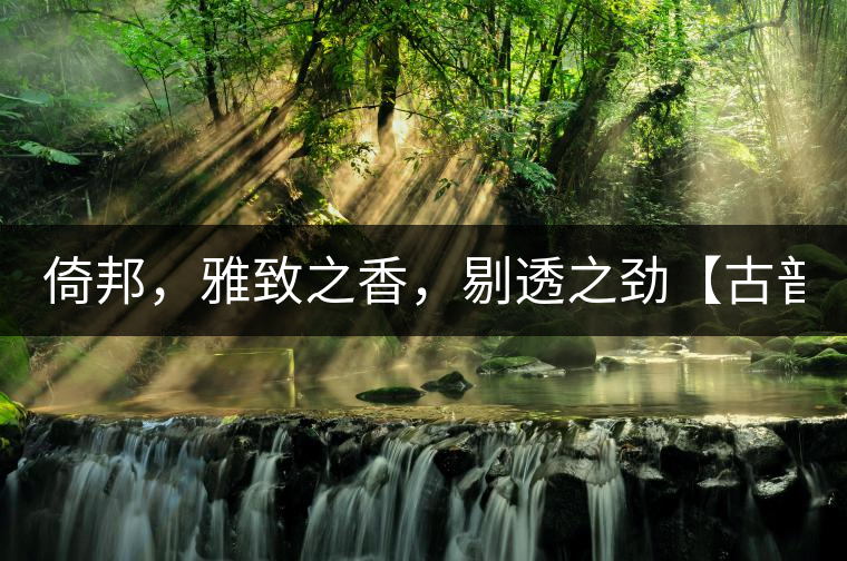 倚邦，雅致之香，剔透之勁【古普十二山品鑒】