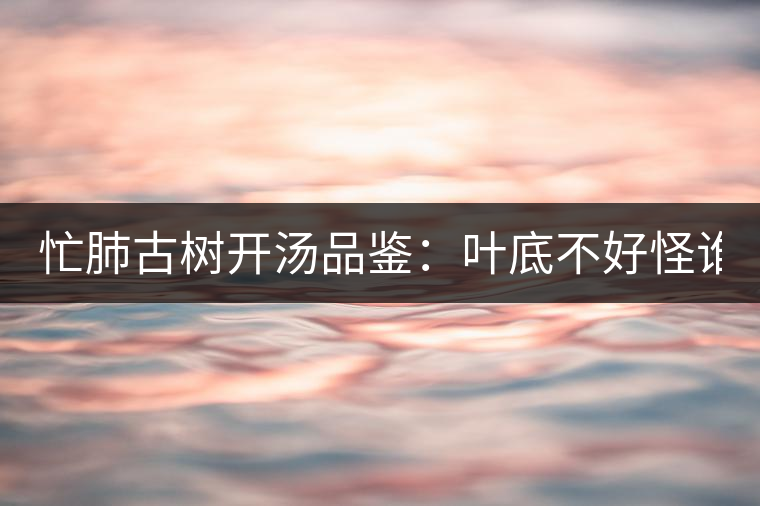 忙肺古樹開湯品鑒：葉底不好怪誰？