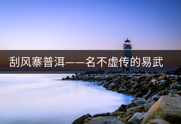 刮風寨普洱——名不虛傳的易武為后