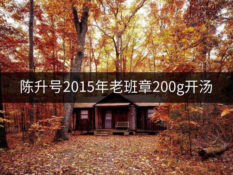 陳升號2015年老班章200g開湯