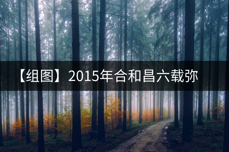 【組圖】2015年合和昌六載彌臻小紅盒開(kāi)湯