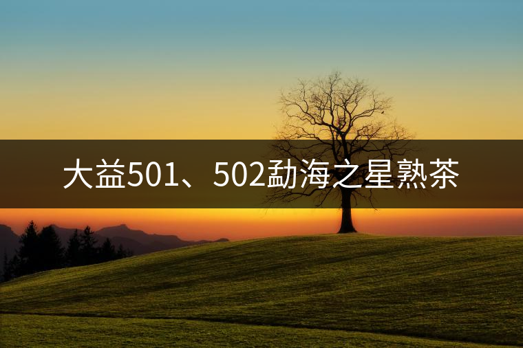 大益501、502勐海之星熟茶