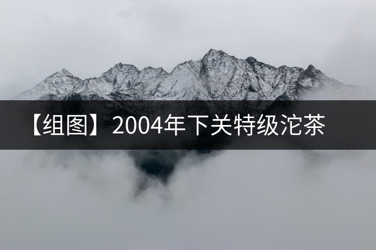 【組圖】2004年下關(guān)特級(jí)沱茶開湯 【組圖】2004年下關(guān)特級(jí)沱茶開湯