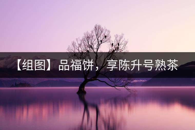 【組圖】品福餅，享陳升號(hào)熟茶滋味