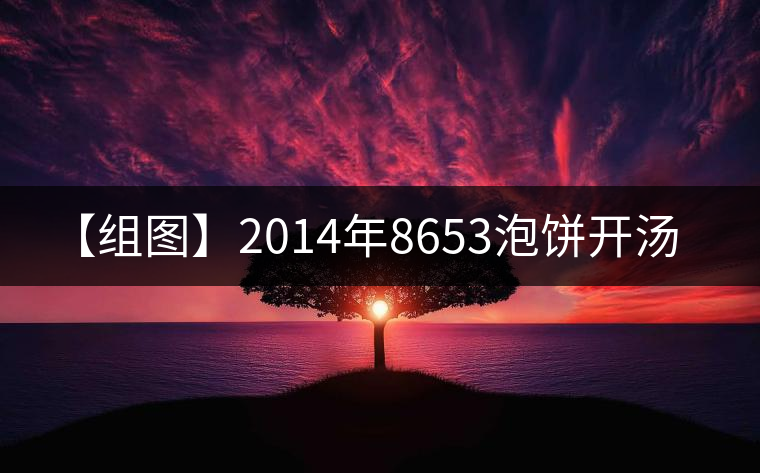 【組圖】2014年8653泡餅開(kāi)湯