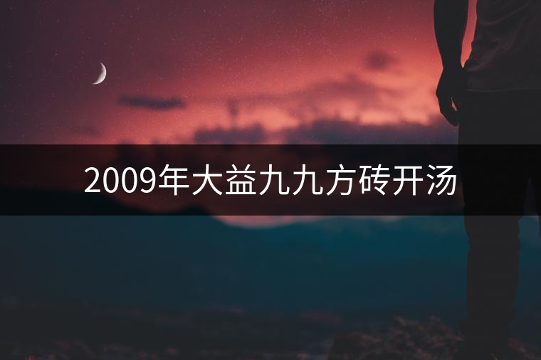 2009年大益九九方磚開湯 2009年大益九九方磚開湯