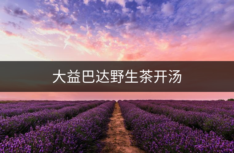 大益巴達野生茶開湯