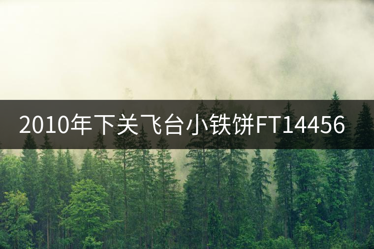 2010年下關(guān)飛臺(tái)小鐵餅FT14456開(kāi)湯