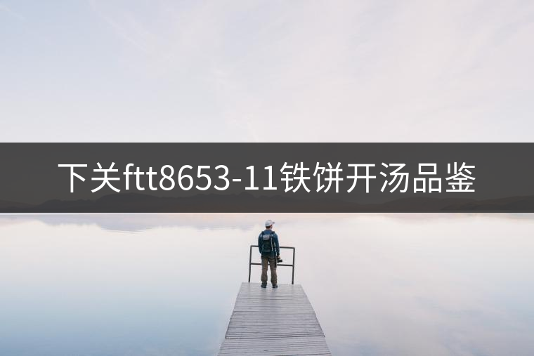 下關(guān)ftt8653-11鐵餅開(kāi)湯品鑒