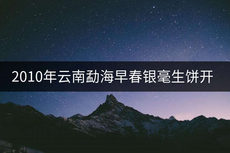 2010年云南勐海早春銀毫生餅開(kāi)湯