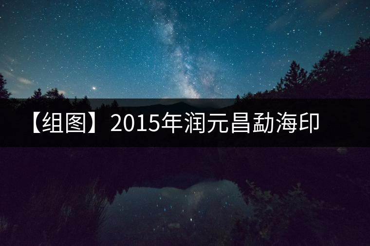 【組圖】2015年潤(rùn)元昌勐海印象開湯 【組圖】2015年潤(rùn)元昌勐海印象開湯