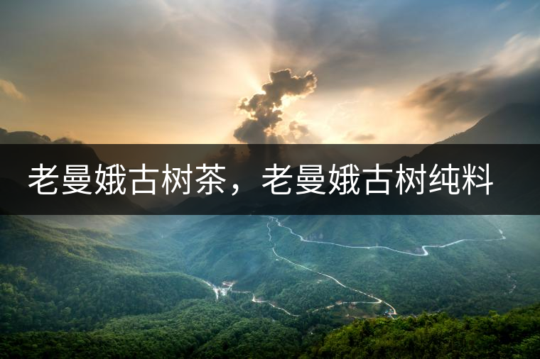 老曼娥古樹茶，老曼娥古樹純料生餅