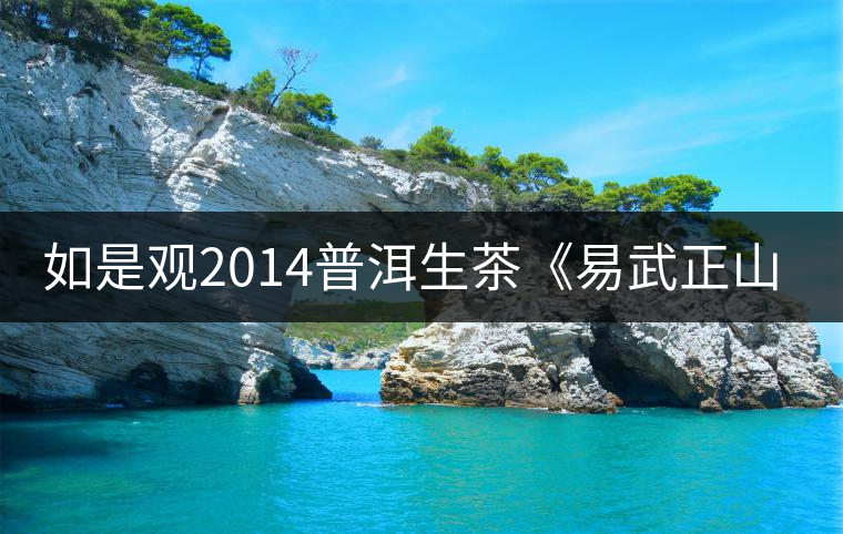 如是觀2014普洱生茶《易武正山》奶香餅 開(kāi)湯試飲 如是觀2014普洱生茶《易武正山》奶香餅 開(kāi)湯試飲