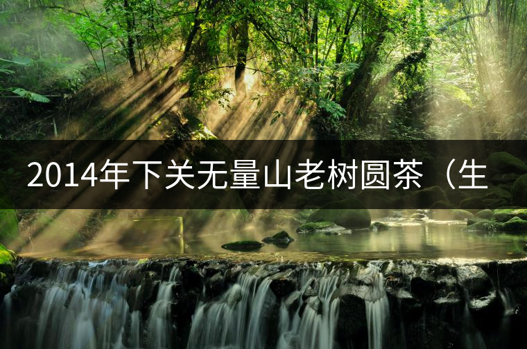 2014年下關(guān)無量山老樹圓茶(生茶)開湯 2014年下關(guān)無量山老樹圓茶(生茶)開湯