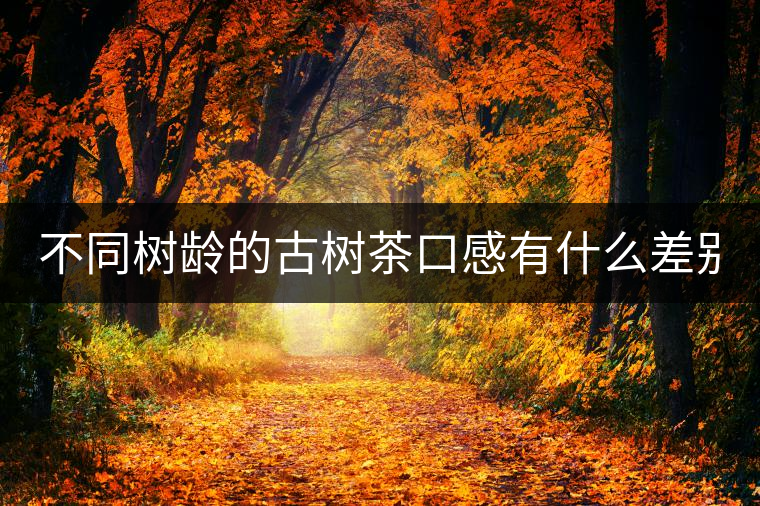 不同樹齡的古樹茶口感有什么差別？