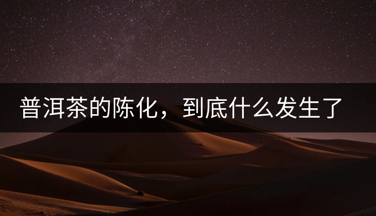 普洱茶的陳化，到底什么發(fā)生了哪些變化？