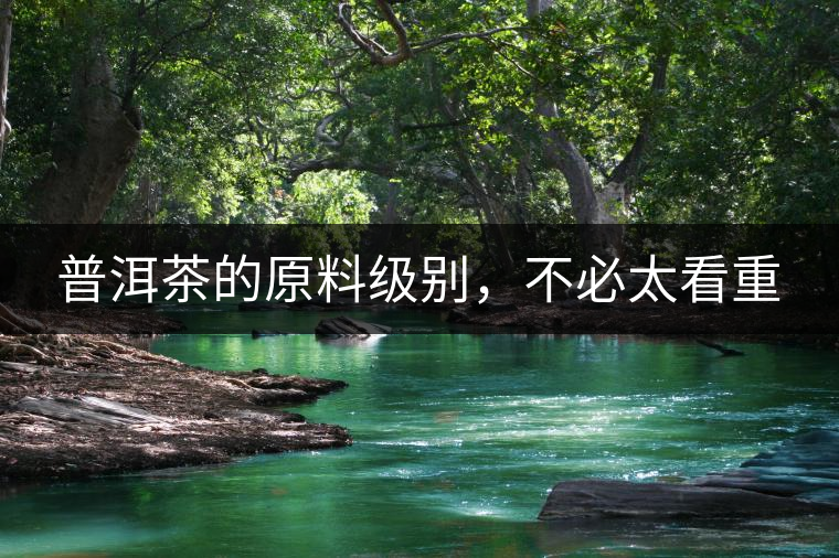 普洱茶的原料級別，不必太看重