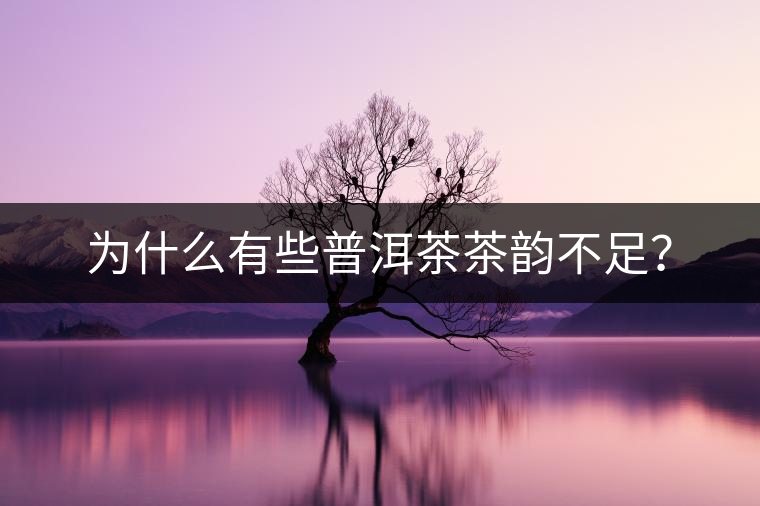 為什么有些普洱茶茶韻不足？