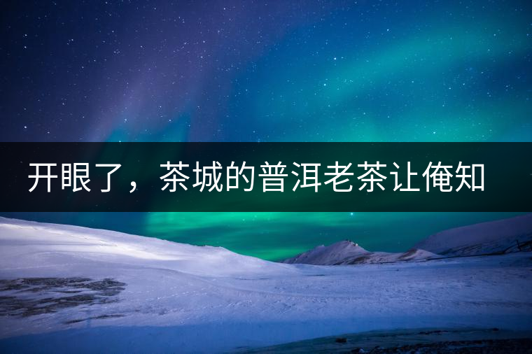 開眼了，茶城的普洱老茶讓俺知道了老茶樹