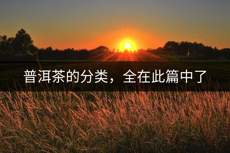 普洱茶的分類，全在此篇中了