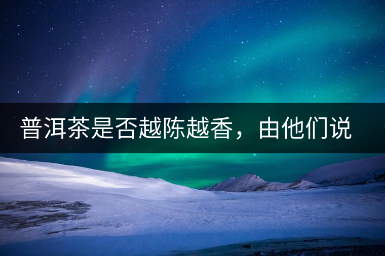 普洱茶是否越陳越香，由他們說了算