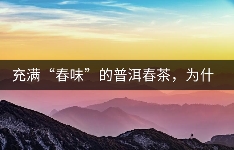 充滿“春味”的普洱春茶，為什么值得期待？