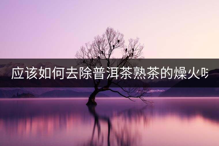 應(yīng)該如何去除普洱茶熟茶的燥火味？