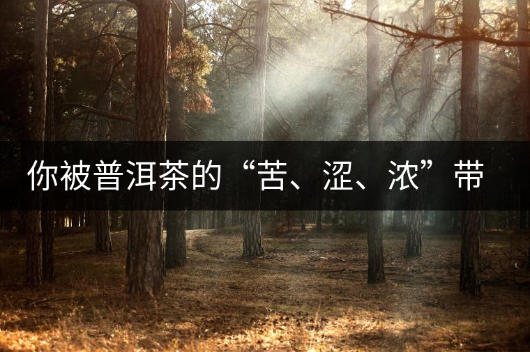 你被普洱茶的“苦、澀、濃”帶入“歧途”了嗎？