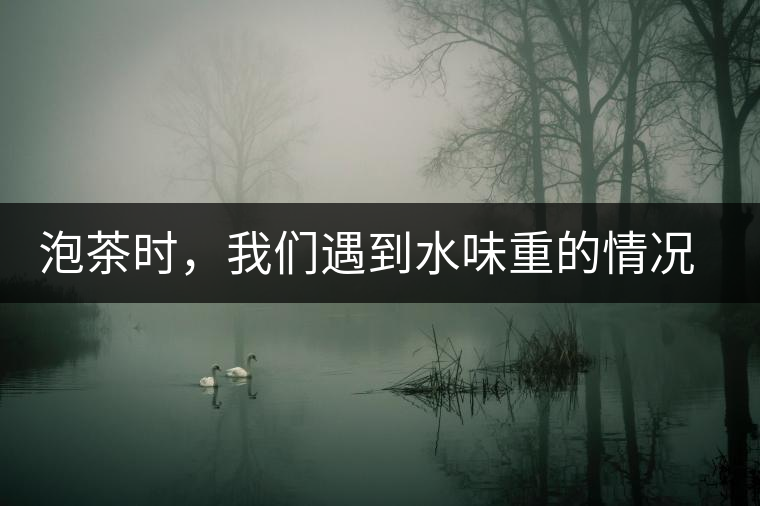 泡茶時，我們遇到水味重的情況是怎么回事呢?