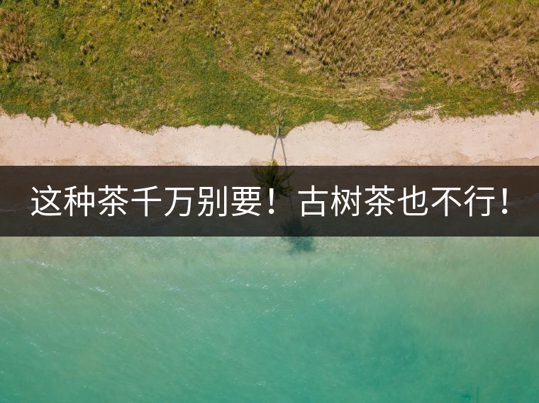 這種茶千萬別要！古樹茶也不行！