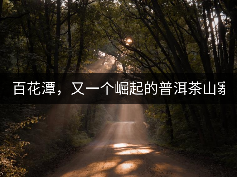 百花潭，又一個崛起的普洱茶山寨！