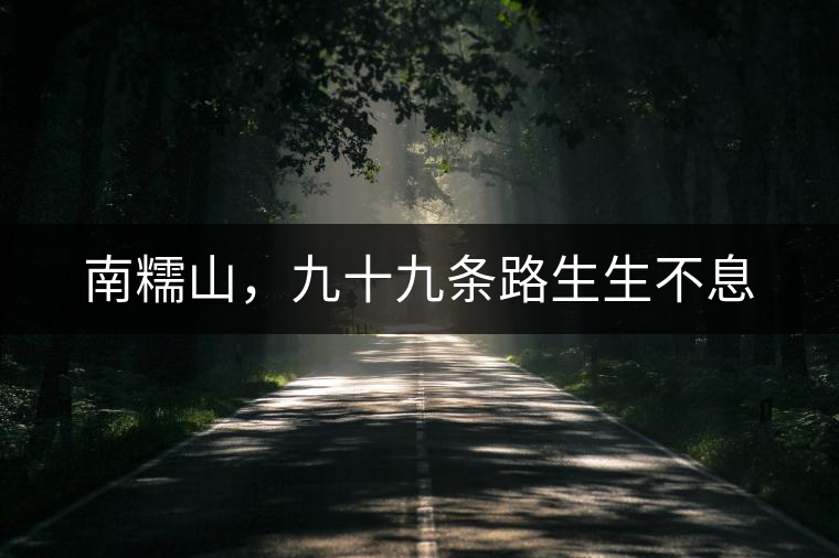 南糯山，九十九條路生生不息