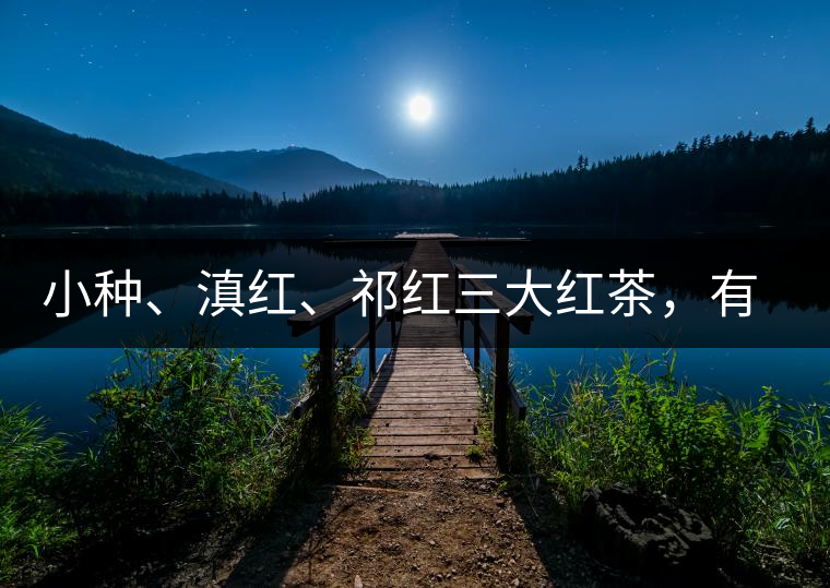 小種、滇紅、祁紅三大紅茶，有何區(qū)別