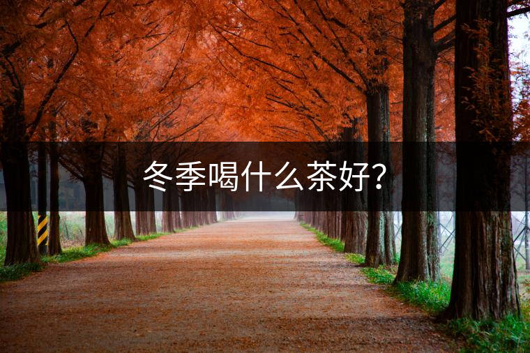 冬季喝什么茶好？