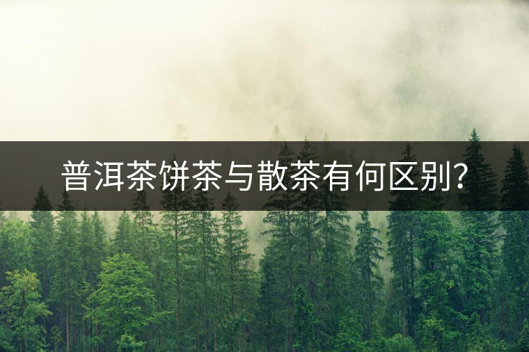 普洱茶餅茶與散茶有何區(qū)別？