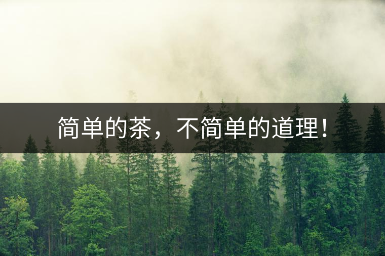 簡單的茶，不簡單的道理！