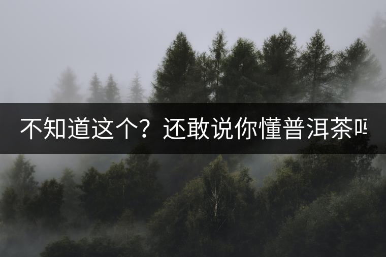 不知道這個(gè)？還敢說你懂普洱茶嗎？