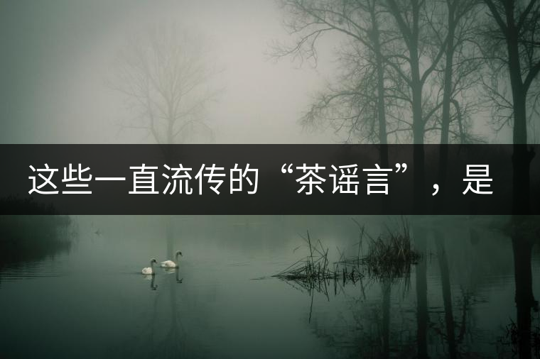 這些一直流傳的“茶謠言”，是時候知道真相了
