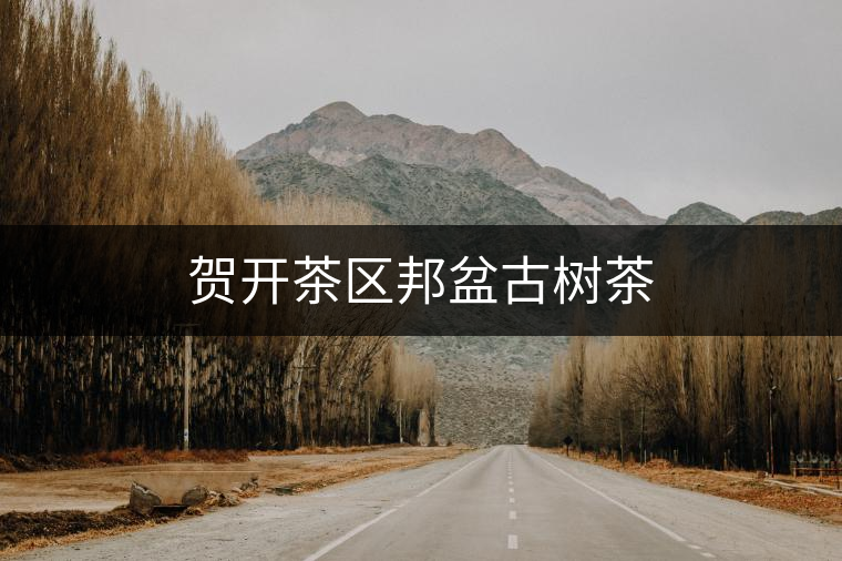 賀開茶區(qū)邦盆古樹茶 賀開茶區(qū)邦盆古樹茶